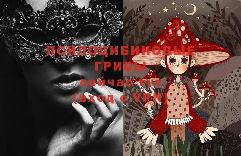 Псилоцибиновые грибы Magic Shrooms  где продают   omg зеркало  Козьмодемьянск 